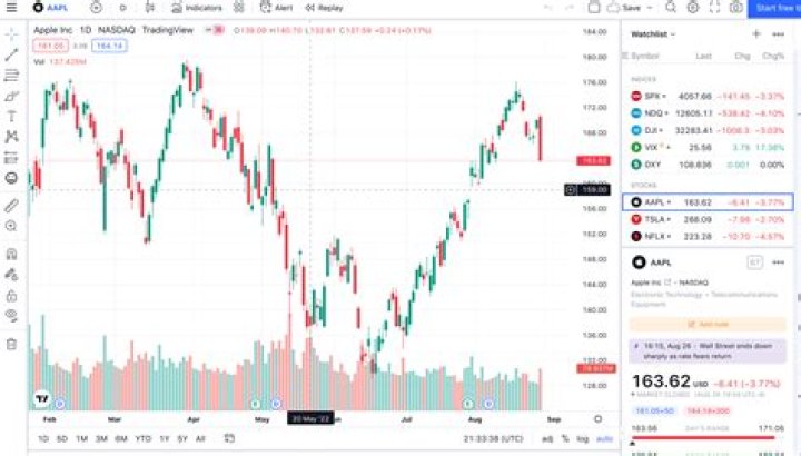 Can you get rich with stocks?