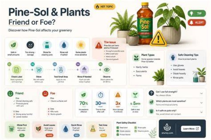 How harmful is Pine-Sol?