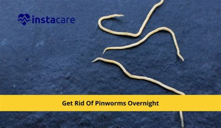 How long do pinworms last if not treated?