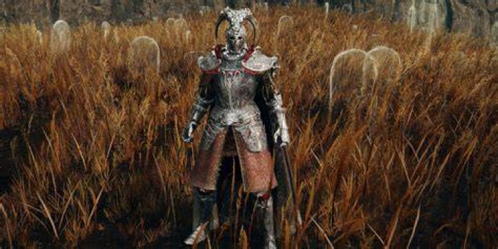 Is Hoslows armor good?