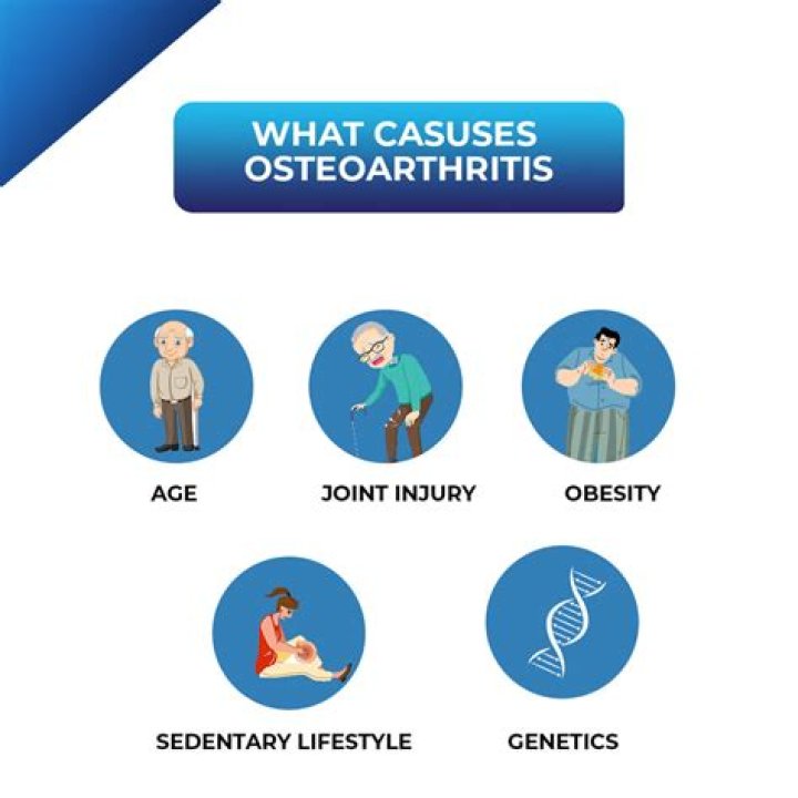 What is the main cause of osteoarthritis?