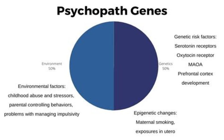 What is the psychopath gene called?